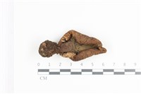 登錄號:F0036364藏品圖，第3張