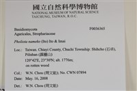 登錄號:F0036365藏品圖，第2張