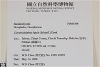 登錄號:F0036366藏品圖，第2張