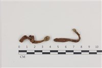 登錄號:F0036366藏品圖，第1張