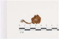 登錄號:F0036368藏品圖，第3張