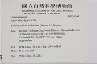 登錄號:F0036369藏品圖，第2張