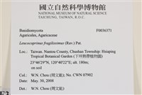 登錄號:F0036371藏品圖，第2張