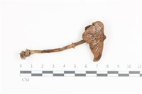 登錄號:F0036372藏品圖，第1張