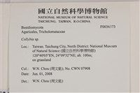 登錄號:F0036373藏品圖，第2張
