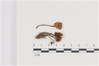 登錄號:F0036373藏品圖，第1張