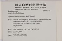 登錄號:F0036375藏品圖，第2張