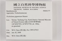 登錄號:F0036377藏品圖，第2張