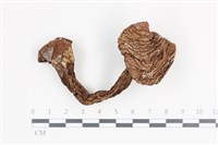 登錄號:F0036377藏品圖，第1張