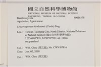 登錄號:F0036378藏品圖，第2張