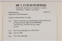 登錄號:F0036379藏品圖，第2張