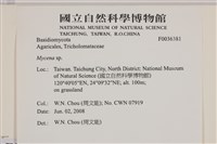 小菇屬藏品圖，第2張