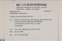 登錄號:F0036382藏品圖，第2張