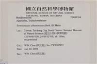登錄號:F0036384藏品圖，第2張