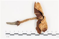 登錄號:F0036384藏品圖，第1張