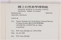 登錄號:F0036386藏品圖，第2張