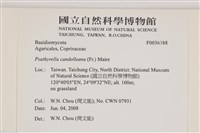 登錄號:F0036388藏品圖，第2張