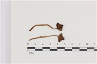 登錄號:F0036388藏品圖，第1張