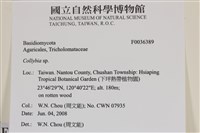 登錄號:F0036389藏品圖，第2張