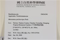 登錄號:F0036390藏品圖，第2張