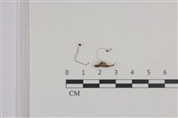 登錄號:F0036390藏品圖，第1張