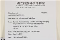 登錄號:F0036392藏品圖，第2張