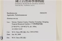 登錄號:F0036393藏品圖，第2張