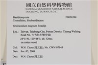 登錄號:F0036394藏品圖，第2張