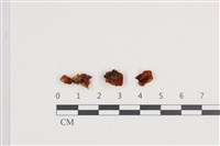 登錄號:F0036394藏品圖，第1張