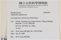 登錄號:F0036395藏品圖，第2張