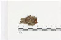 登錄號:F0036398藏品圖，第1張