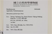 登錄號:F0036400藏品圖，第2張