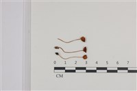登錄號:F0036400藏品圖，第1張