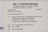 登錄號:F0036403藏品圖，第2張