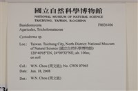 登錄號:F0036406藏品圖，第2張