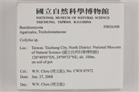 登錄號:F0036408藏品圖，第2張