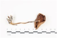 登錄號:F0036408藏品圖，第3張