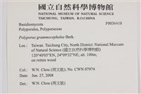 登錄號:F0036410藏品圖，第2張