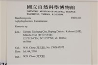 登錄號:F0036411藏品圖，第2張