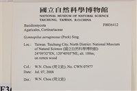 登錄號:F0036412藏品圖，第2張