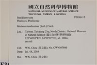 登錄號:F0036413藏品圖，第2張