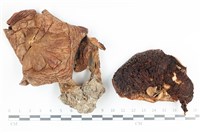 登錄號:F0036414藏品圖，第1張