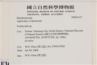 登錄號:F0036415藏品圖，第2張