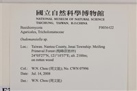 登錄號:F0036422藏品圖，第2張