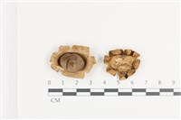 登錄號:F0036423藏品圖，第1張