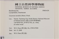 登錄號:F0036424藏品圖，第2張