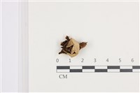 登錄號:F0036424藏品圖，第1張