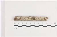 登錄號:F0036427藏品圖，第1張