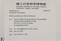 登錄號:F0036429藏品圖，第2張