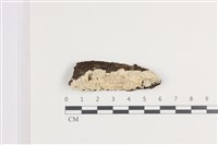 登錄號:F0036431藏品圖，第1張